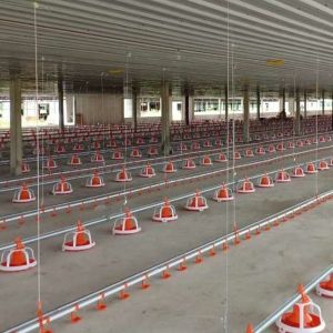 0.75kw Closed System Of Feeding In Poultry