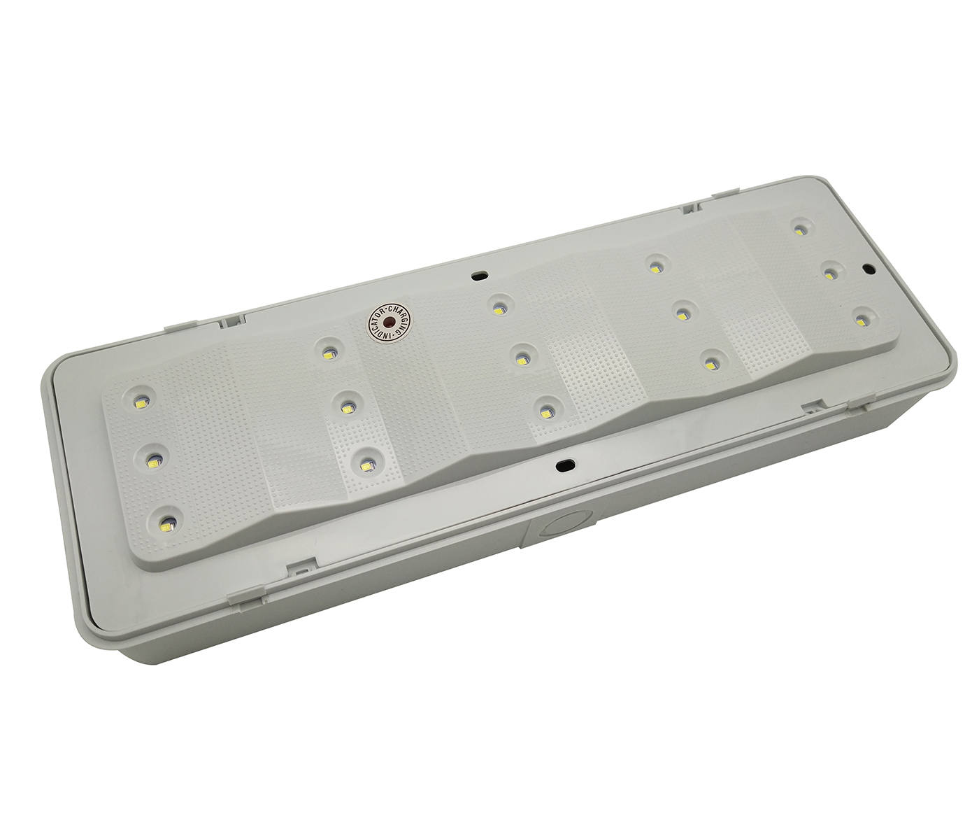 220V LED Battery Rechargeable Emergency Light With Test Button IP20 L103N