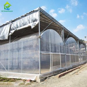 Polytunnel Plastic Film Agricultural Sawtooth Greenhouse Multi-span