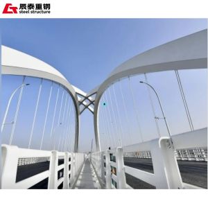 Prefab Modular Steel Bridge Easy Install Large Span Steel Structure Bridge