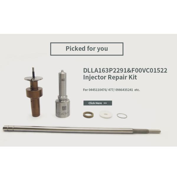 DLLA163P2291 Common Rail Nozzle For Injector 0445110476/477 0986435241