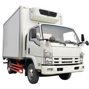 PUR Insulated Refrigerated Truck Box for Isuzu Npr Fvr Elf