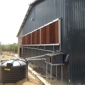 Poultry Chicken Farm Used Layer Chicken Cage 9 Layers / Cell