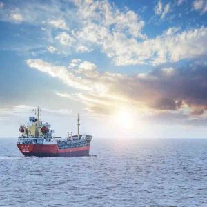 Affordable Full Container Ocean Freight Service from Shanghai Qingdao to York