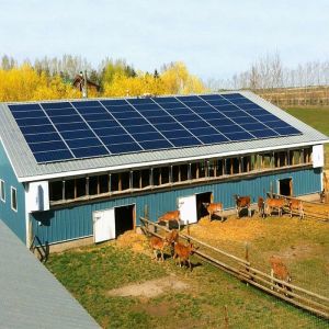 Galvanized Ground Mounted Solar System For Greenhouse