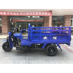 Experience Smooth and Transportation with Our 250cc Cargo Handicap Tricycle in