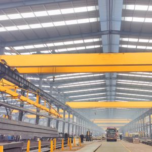 Indoor Double Girder Bridge Overhead Hoist Crane With Versatility