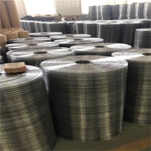 Customizable Galvanized Welded Wire Mesh For Enclosure Farming