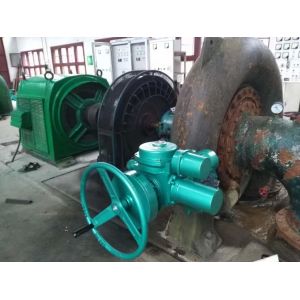 Energy Saving Hydro Turbine Generator With Customization - RPM 450-1000rpm