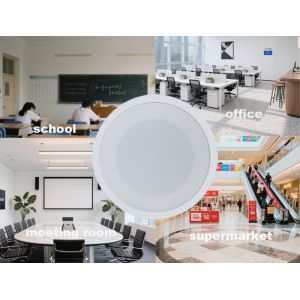 6W Ceiling Loudspeaker 90dB Sensitivity Ceiling Mount Subwoofer