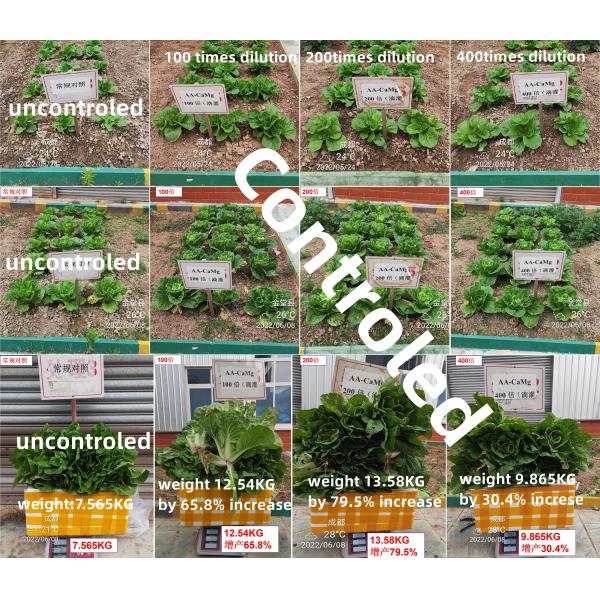 Amino Acid Chelate Calcium Boron Water Soluble Fertilizer For Agriculture