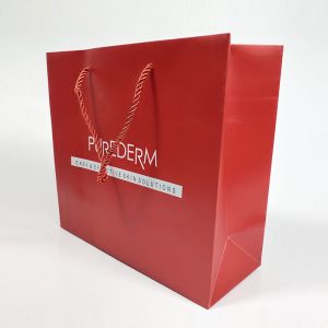 Offset Printing Patch Handle Paper Bag for Durable and Recyclable Custom Shopping