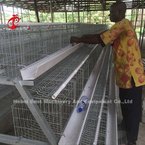 Buy Deluxe 120 Birds Poultry Battery Cage System 5 Cells Galvanized Doris at wholesale prices