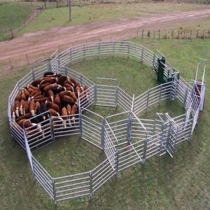 1025 Cattle Galvanized Livestock Fencing 1.8mx2.1m 2.3mx2.2m
