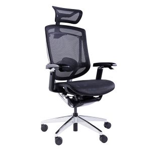 China Rolling Desk Chair with 5D Armrest 3D Lumbar Support Swivel Office Chairs on sale