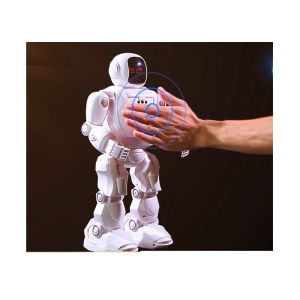 2 In 1 RC Sensor Walking Robot Toys For Boys 48 Actions Programmable 15.8 "