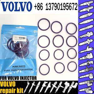 Stania Engine VOL Repair Kit
