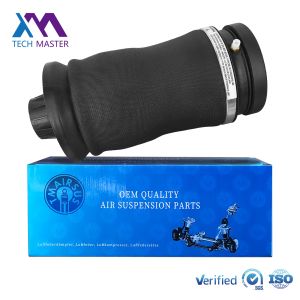 Rear Air Suspension Spring Bag 1643200625 2923200525 1663200325 Mercedes Benz