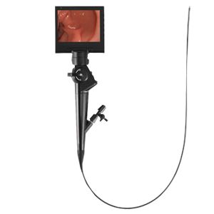 China Veterinary Portable Videoscope Flexible And Rigid Endoscope DJV60900 on sale