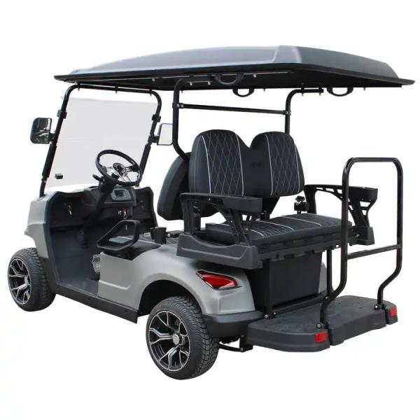 Rear Hub Motor 48V Lithium Battery Golf Cart with Audio System 6 Passenger Modern Style