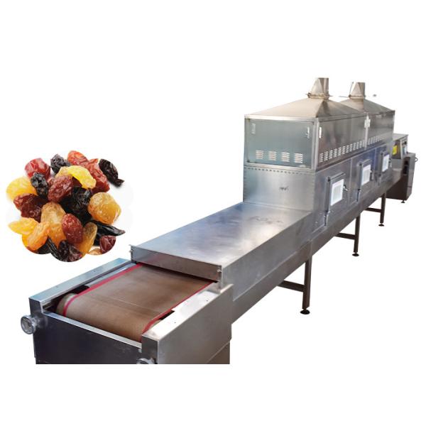 High Efficiency Food Sterilization Equipment Continuous Raisin Belt Silvery