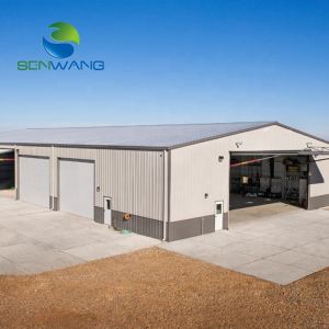 Custom Steel Structure Warehouse Building with Wind Snow Resistance