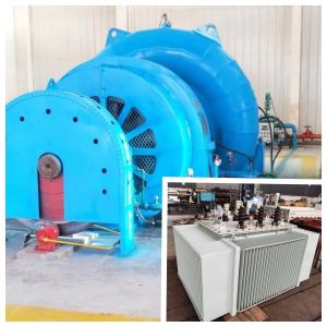 Eco Friendly 50HZ/60HZ Small Hydro Turbine Generator For Low Water Head 5-500m