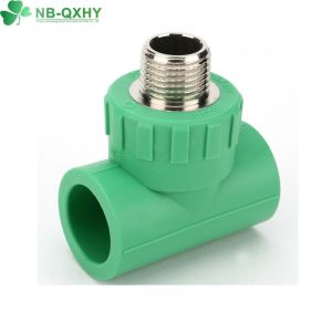 PPR Male Coupling/Male Tee Pipe Fittings with Welding Connection and Round Head