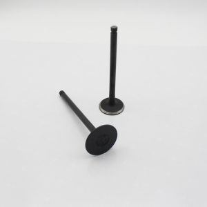 6D16T Cylinder Exhaust Valve