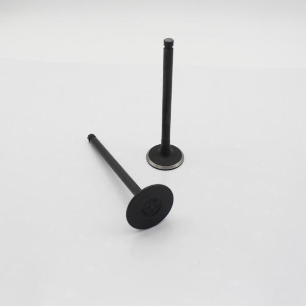 6D16T Cylinder Exhaust Valve