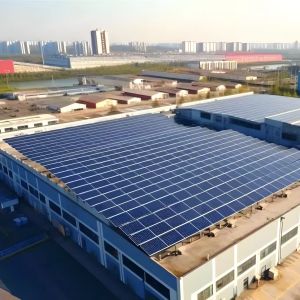 Maximize Energy Self-Sufficiency with Solar Panel Roof Mounting Brackets for