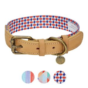 Polyester Webbing Leather Pet Collars Matched Leashes Available