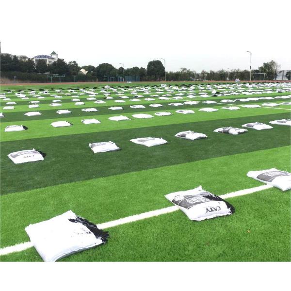 Professional sports field