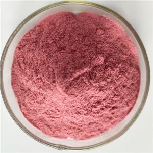 Wholesale Instant Powder Drink Dried Waxberry In Bulk