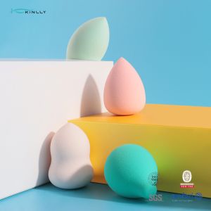 4pcs Makeup Sponge Set Professional Makeup Blender Sponge With Box Holders