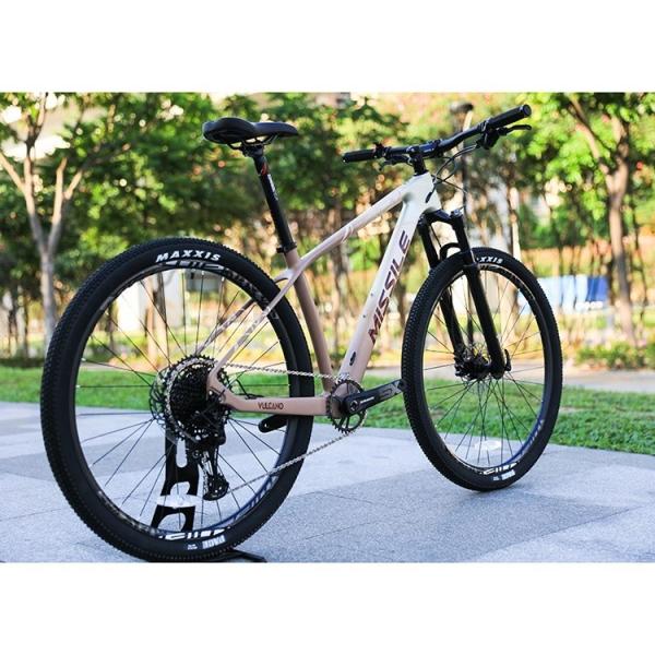 Aluminum Alloy Fork 29 Inch Mountain Bike with Hydraulic Disc Brake and Front