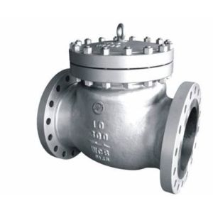 Quality Swing Check Valve for sale