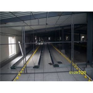 Poultry Farm Chain Trough Chicken Breeding Equipment 36m/min Conveying