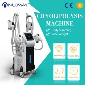 OEM and ODＭ service body slimming cryoliplysis fat reduction machine