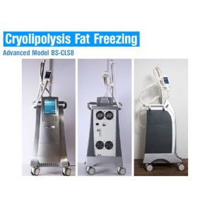 China Cryolipolysis slimming equipment fat reduction cryolipolysis freeze slimming machine on sale