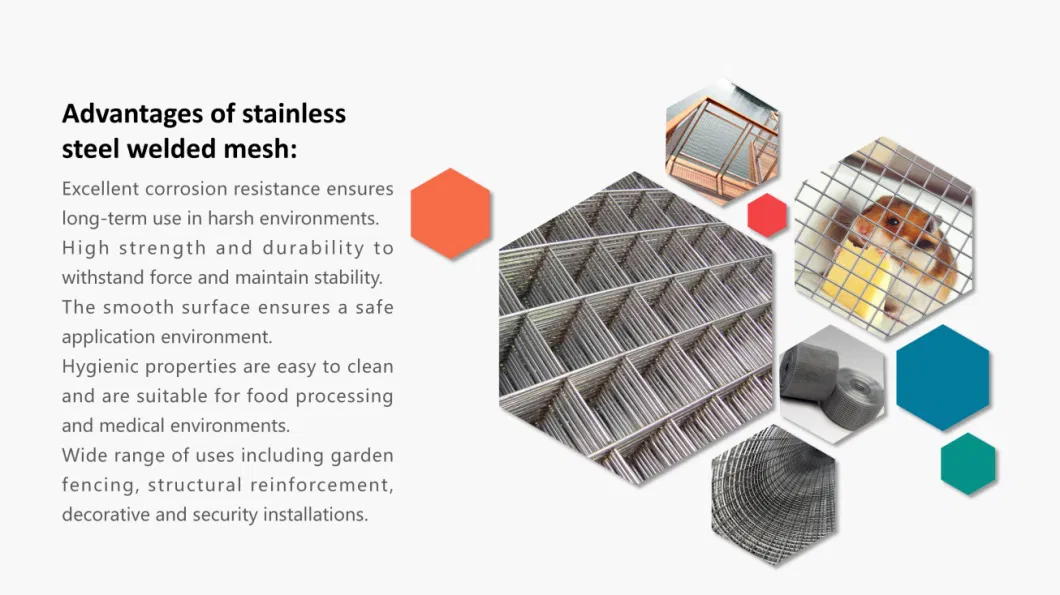 Galvanized Powder Coated Welded Wire Mesh Stainless Steel Wire Mesh Use as a Vegetable and Fruit Stand