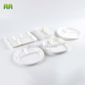 Quality 6 7 8 9 10Inch Disposable Sugarcane Fiber Plates 100% compostable and biodegradable Green Bagasse Paper Plate With Restaurants for sale