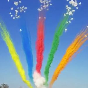 China Custom Mandarin Pyrotechnics Daytime Salute Cake Fireworks 49 Shots on sale