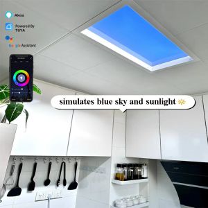 Aluminum Alloy LED Artificial Skylight High Light Intensity Wide Coverage
