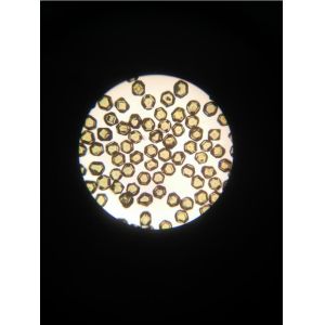 Coarse Synthetic Monocrystalline Diamond CSD Series For Polishing / Grinding