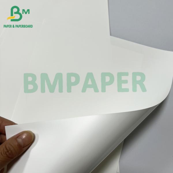Smooth 180 Mic Anti - allergic Medical Thermal Synthetic Paper Sheet