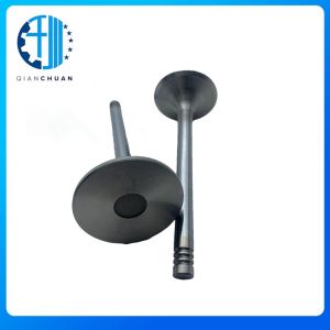 Valve WP6 12159608 Intake And Exhaust Engine Spare Part