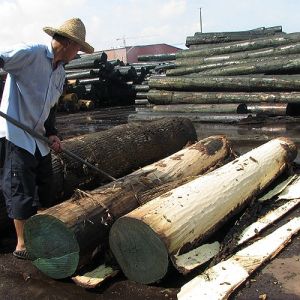 Africa Natural Makore Wood Veneer Cherry Mahogany For Hotel Decoration And