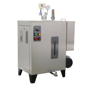 Small Automatic Steam Boiler Generator 12Kw 16kg/H 7bar OEM ODM