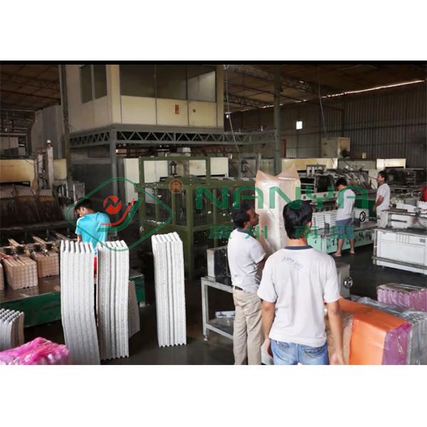 Eco Friendly Fiber Pulp Egg Tray / Fruit Tray Machinery With CE Certified